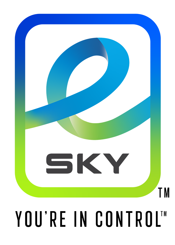 e-SKY Solution